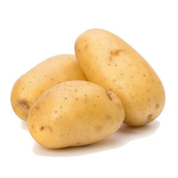 Potato Powder