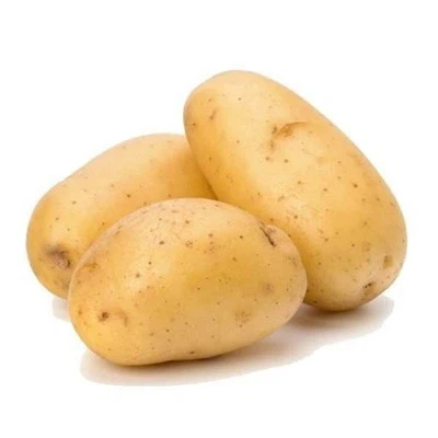 Polvere di patate
